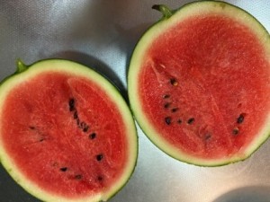 １つだけ立派に育ったスイカ